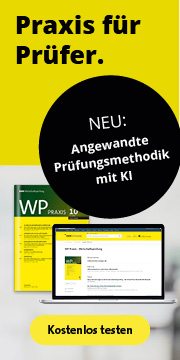 Angewandte Prüfungsmethodik